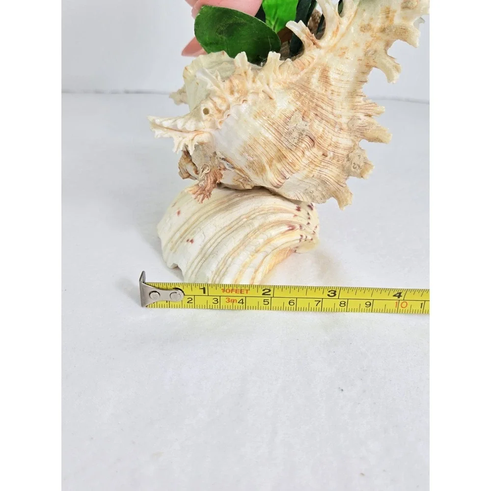 Vintage Sea Shell Pink Green‎ Flowers Handmade Bouquet Seashell Sand Beach